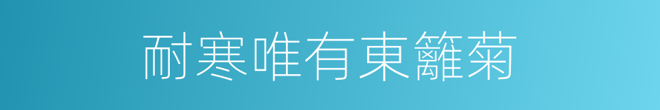 耐寒唯有東籬菊的同義詞