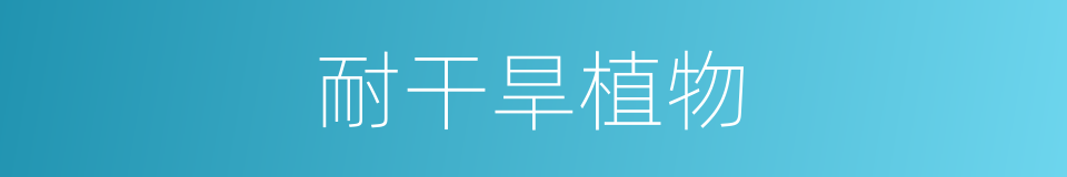 耐干旱植物的同义词