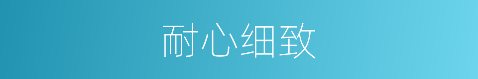 耐心细致的同义词