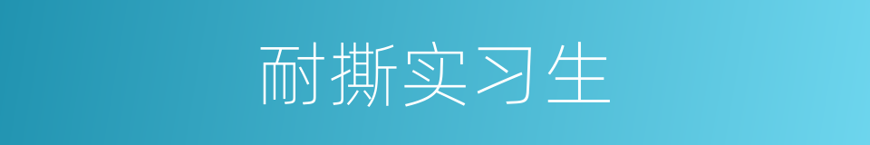 耐撕实习生的同义词