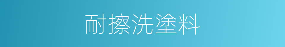 耐擦洗塗料的同義詞