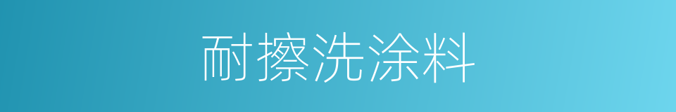 耐擦洗涂料的同义词