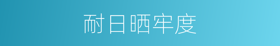 耐日晒牢度的同义词