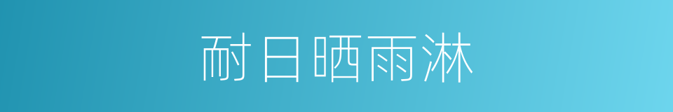 耐日晒雨淋的同义词