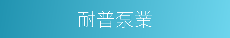 耐普泵業的同義詞