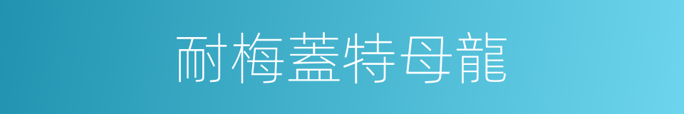 耐梅蓋特母龍的同義詞