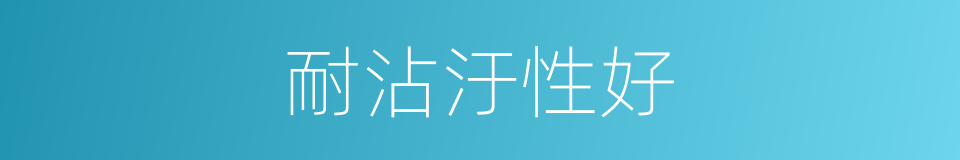 耐沾汙性好的同義詞