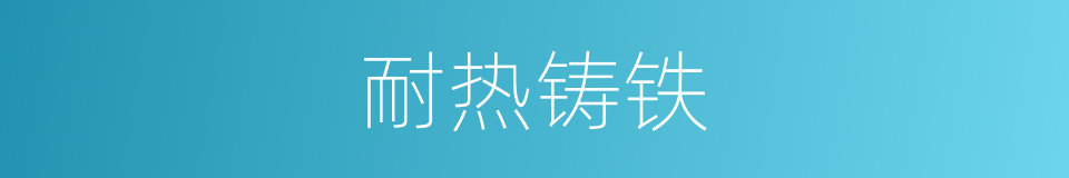 耐热铸铁的同义词