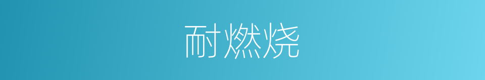 耐燃烧的同义词