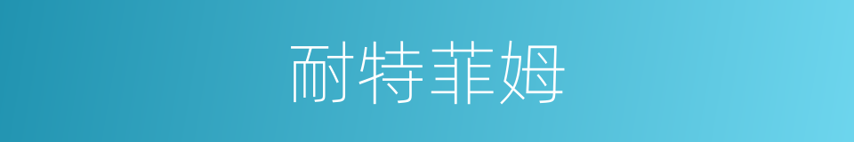耐特菲姆的同义词