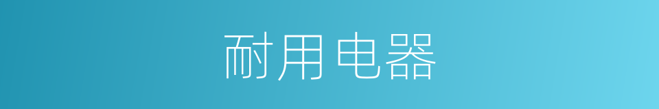 耐用电器的同义词