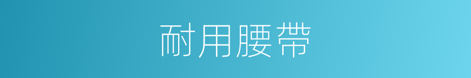 耐用腰帶的同義詞