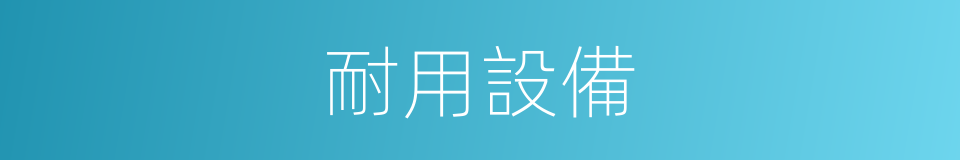 耐用設備的同義詞