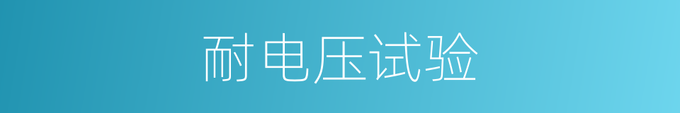 耐电压试验的同义词