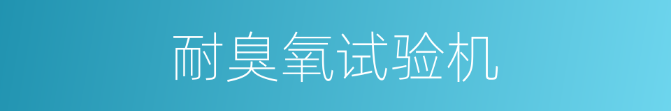 耐臭氧试验机的同义词