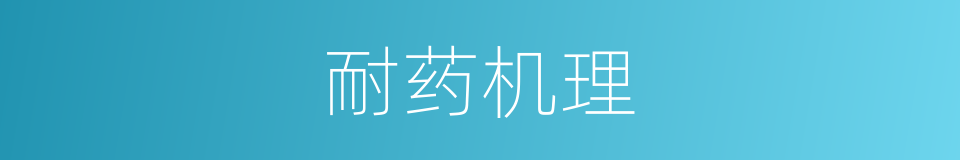 耐药机理的同义词