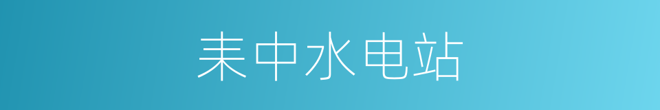 耒中水电站的同义词