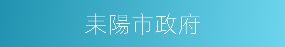 耒陽市政府的同義詞