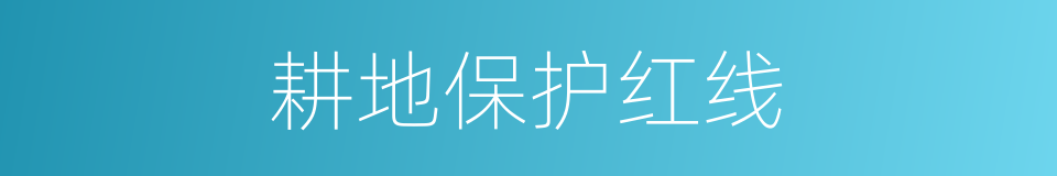 耕地保护红线的同义词