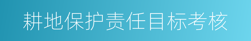 耕地保护责任目标考核的同义词