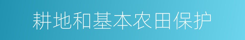 耕地和基本农田保护的同义词