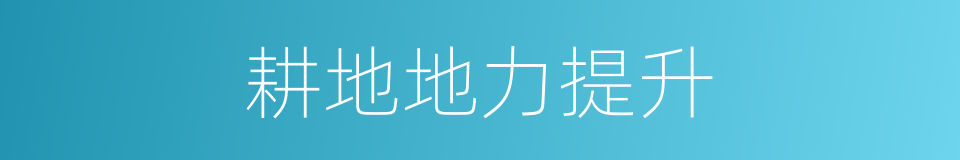 耕地地力提升的同义词