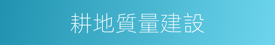 耕地質量建設的同義詞