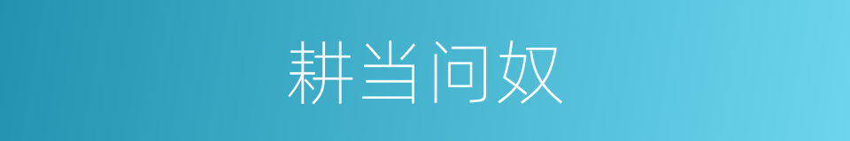 耕当问奴的意思