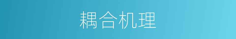 耦合机理的同义词
