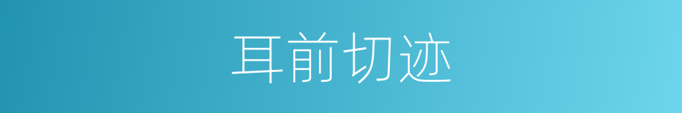 耳前切迹的同义词