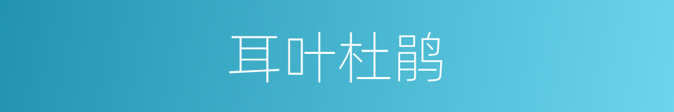 耳叶杜鹃的同义词