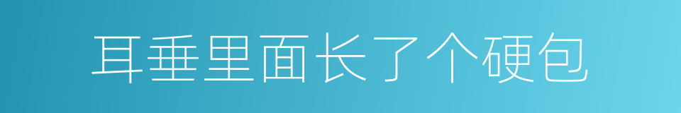 耳垂里面长了个硬包的同义词