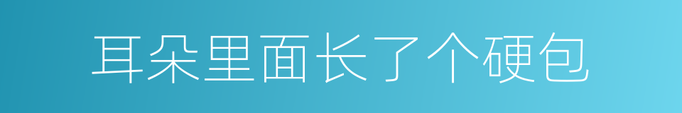 耳朵里面长了个硬包的同义词