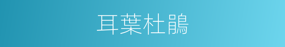 耳葉杜鵑的同義詞
