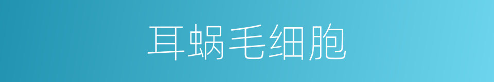 耳蜗毛细胞的同义词