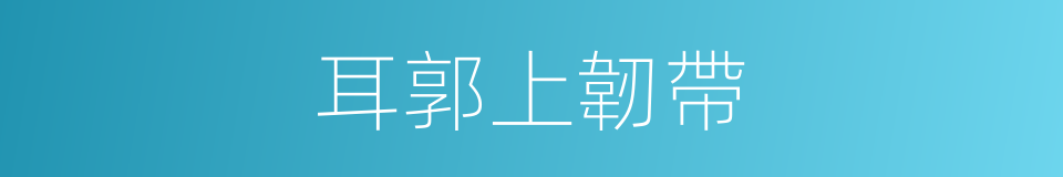 耳郭上韌帶的同義詞