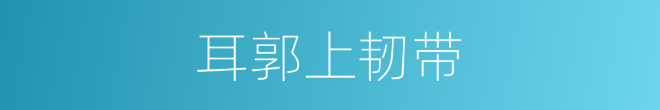 耳郭上韧带的同义词