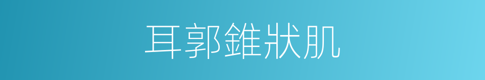 耳郭錐狀肌的同義詞