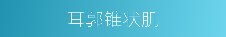 耳郭锥状肌的同义词