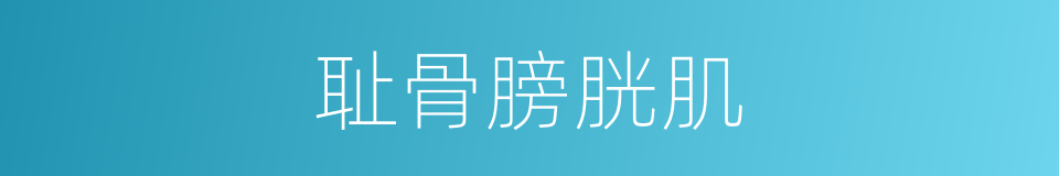 耻骨膀胱肌的同义词