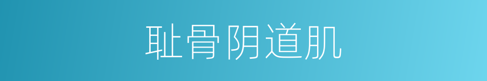 耻骨阴道肌的同义词