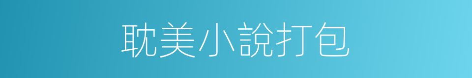 耽美小說打包的同義詞
