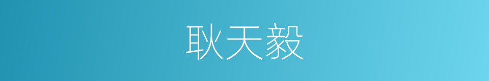 耿天毅的同义词