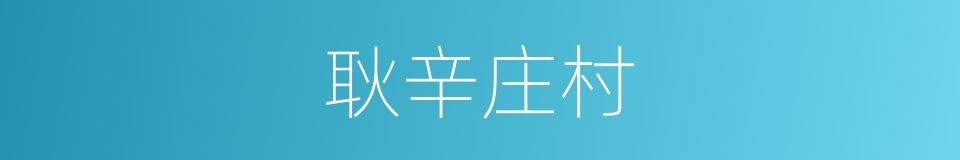 耿辛庄村的同义词