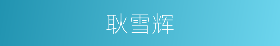 耿雪辉的同义词