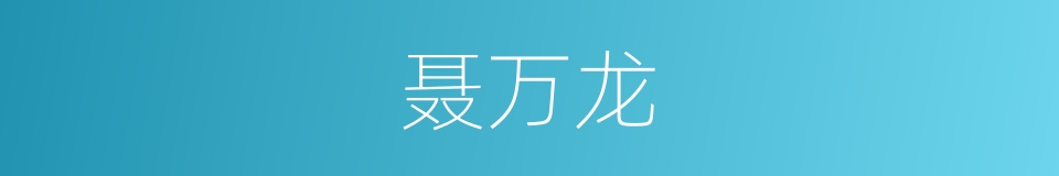聂万龙的同义词