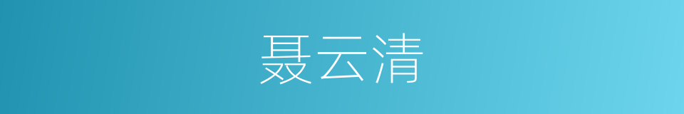 聂云清的同义词