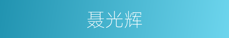 聂光辉的同义词