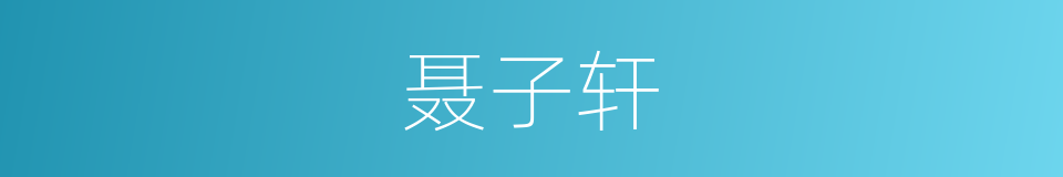 聂子轩的同义词
