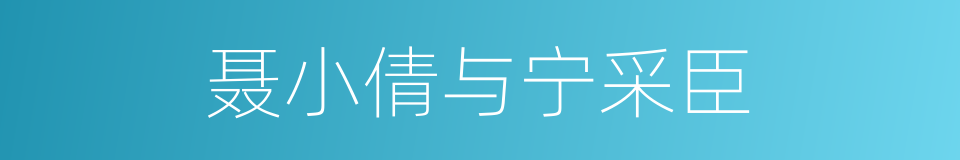 聂小倩与宁采臣的同义词